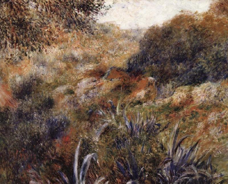 Pierre Renoir Algerian Landscape:Wild Woman Ravine France oil painting art